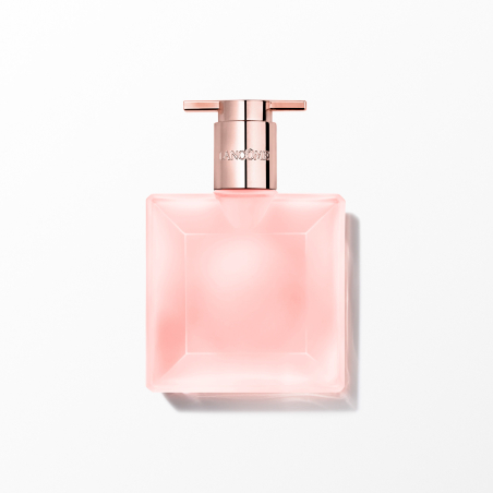 Image du produit précédent