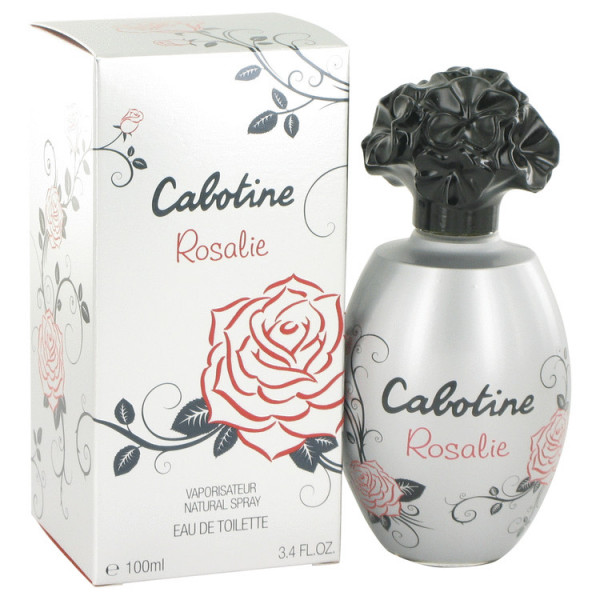 Image du produit précédent